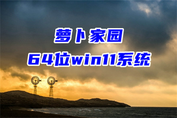 萝卜家园win11简约版系统