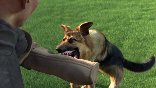 AnimalTrainer
