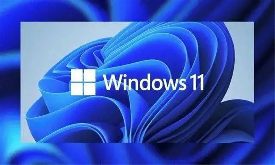 深度技术win11 64位专业正版