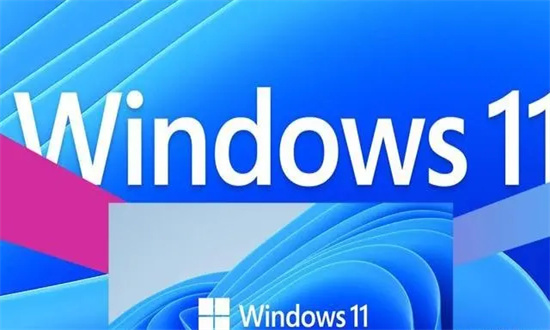萝卜家园Win11 64位高效家庭版