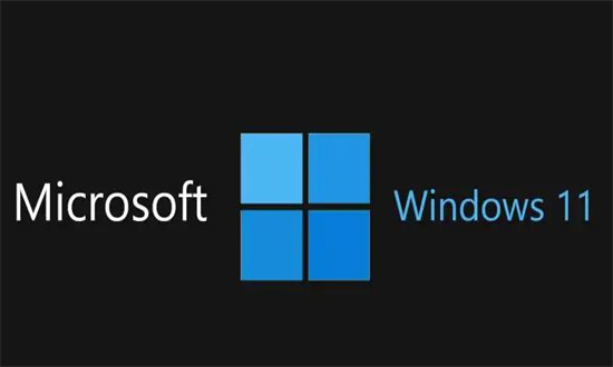 大地系统Win11 64位强劲专业版