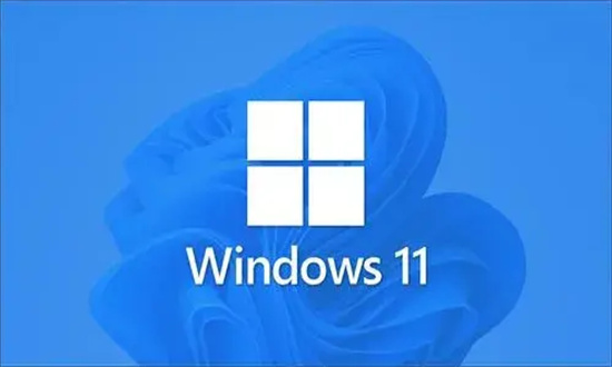 技术员联盟Win11 64位简化体验版