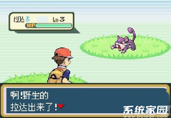 口袋妖怪究极绿宝石下载