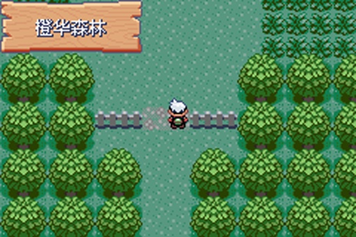 口袋妖怪绿宝石小智版