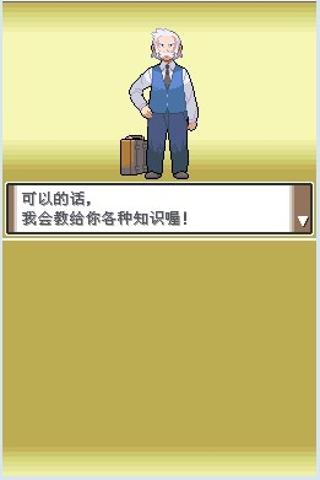 口袋妖怪白金汉化下载