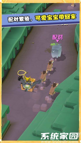 疯狂动物园版内购破解下载