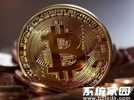 波币钱包app最新版下载