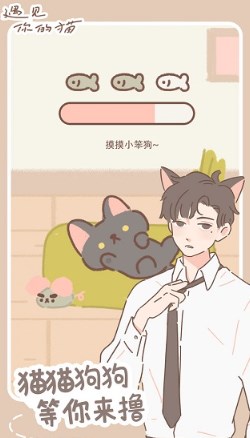 遇见你的猫破解版下载最新版