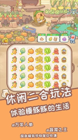 慢豚豚的生活游戏内置菜单版下载