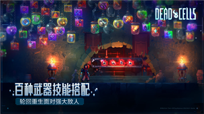 重生细胞破解版