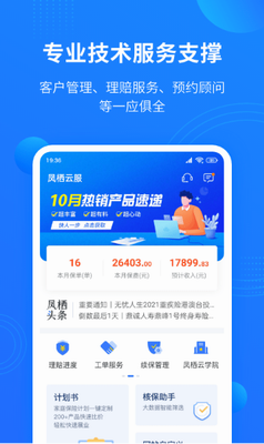 凤栖云服