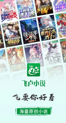 飞卢小说