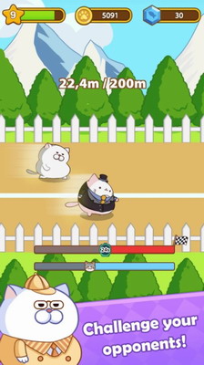 奔跑小猫破解版