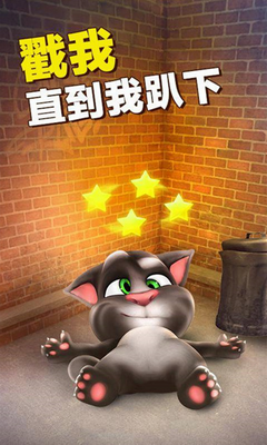 学舌猫