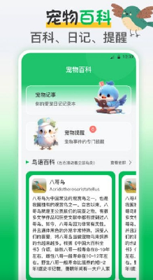 鸟语交流器