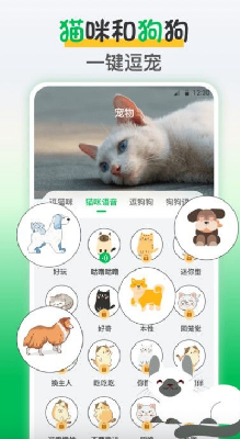 鸟语交流器